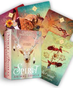spirit animal oracle cards