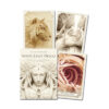 white light oracle cards
