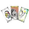 wild unknown animal spirit oracle cards
