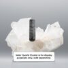 Picaso Jasper Wand