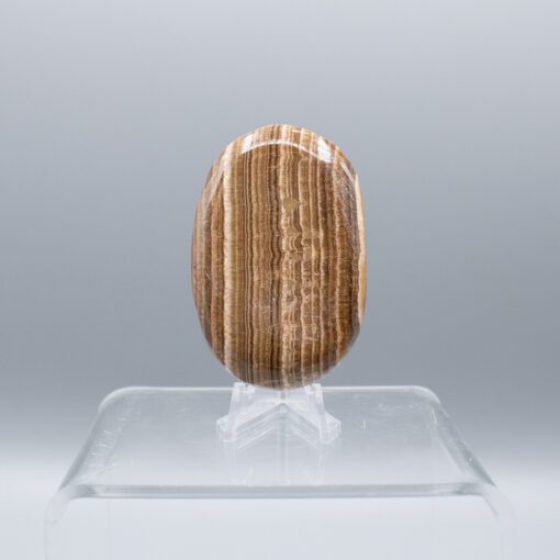 Brown Aragonite Palm Stone