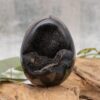 Septarian Egg