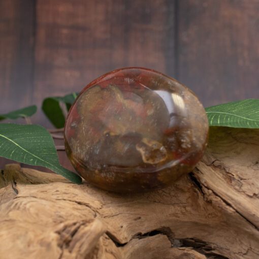 Ocean Jasper Palmstone