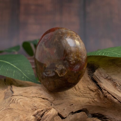 Ocean Jasper Palmstone - Image 3