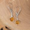 Amber Earrings