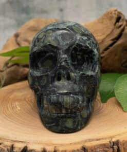 Kambaba Jasper Skull
