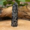 Snowflake Obsidian Tower