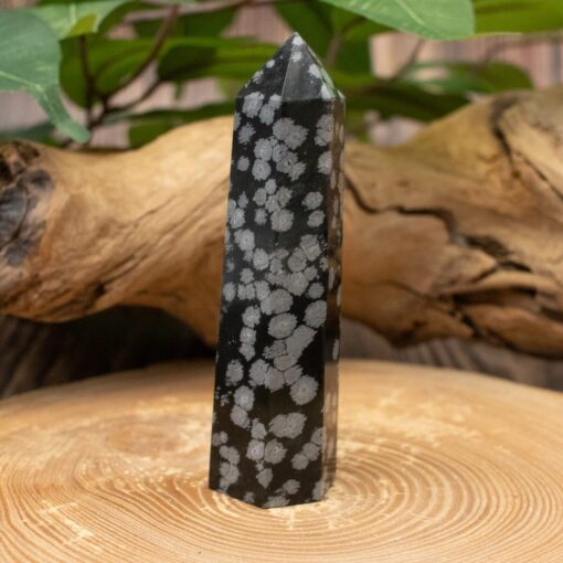 Snowflake Obsidian Tower