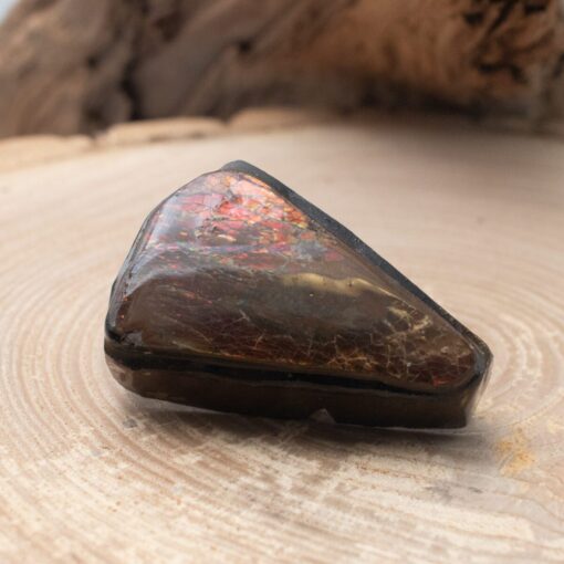 Ammolite