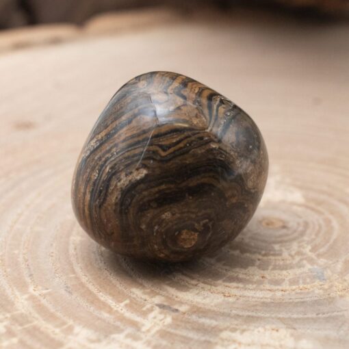 Stromatolite