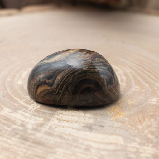 Stromatolite - Image 3