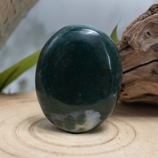 Bloodstone Palm Stone