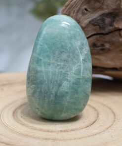 Amazonite Palm Stone
