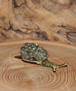 Pyrite Snail