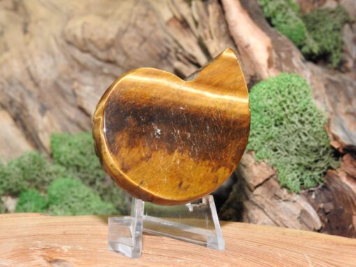 Tiger Eye Ammonite Carving - Image 3