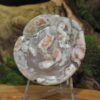 Flower Agate Rose