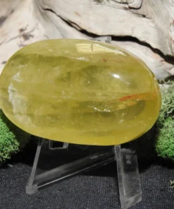 Natural Citrine Palm Stone