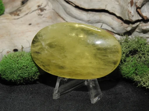 Natural Citrine Palm Stone