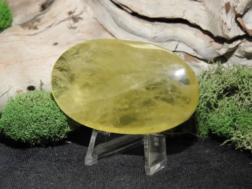 Natural Citrine Palm Stone - Image 3