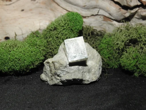 Pyrite Cube on Matrix