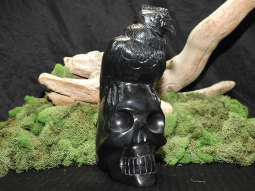 Black Onyx Skull with Vulture - Image 2
