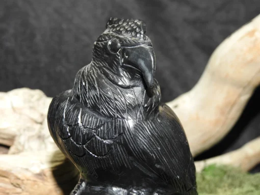 Black Onyx Skull with Vulture - Image 4