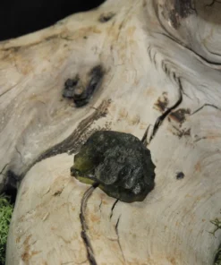 Moldavite-Raw
