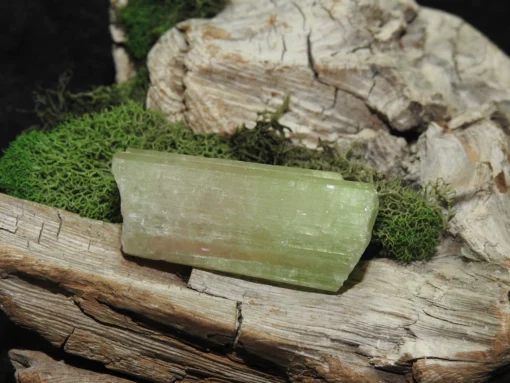 Watermelon Tourmaline-Raw - Image 2