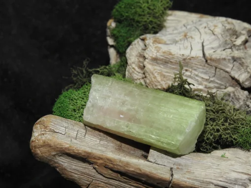 Watermelon Tourmaline-Raw - Image 3