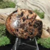 Black Opal Palm Stone-Fluorescent
