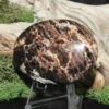 Black Opal Palm Stone- Fluorescent