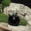 Black Obsidian Apple Carving