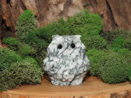 Tree Agate Owl Carving