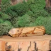 Picture Jasper Wand