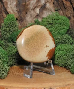 Picture Jasper Earthstone