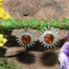 Amber Sun Earrings .925 Sterling Silver