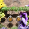 Amber Earrings .925 Sterling Silver