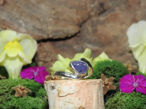 Tanzanite .925 Sterling Silver Ring Size 7 - Image 2