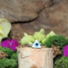 Evil Eye .925 Sterling Silver Ring Size 7