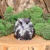Chevron Amethyst Owl Carving