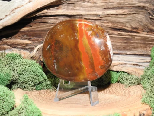 Petrified Wood Palm Stone - Image 3