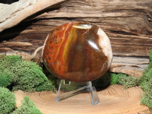 Petrified Wood Palm Stone - Image 2