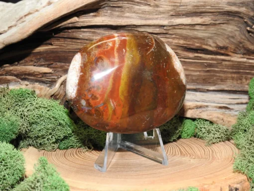 Petrified Wood Palm Stone