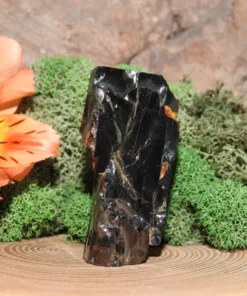 Elite Shungite- Raw