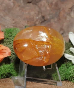 Golden Healer Palm Stone