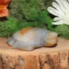Agate Turtle with Druzy