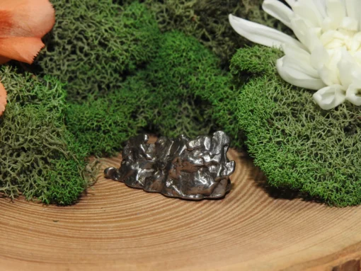 Campo del Cielo Meteorite - Image 2
