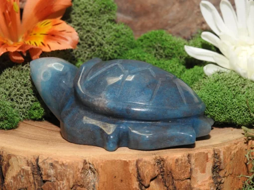 Trolleite Turtle - Image 2