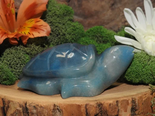 Trolleite Turtle