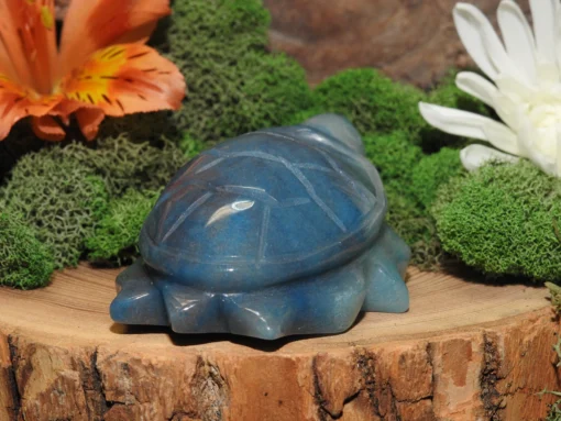 Trolleite Turtle - Image 3